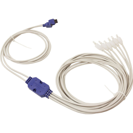 Lumières LED Spyder, Balboa Water Group, pour guirlandes lumineuses