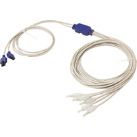 LED Spyder Lights, Balboa Water Group, For String Lights