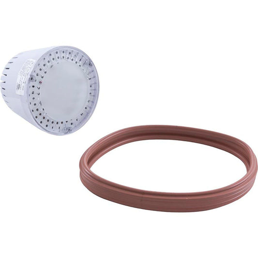 Ampoule de rechange, PureWhite 2 piscine/spa, 115 V, Amerlite/Astrolite I