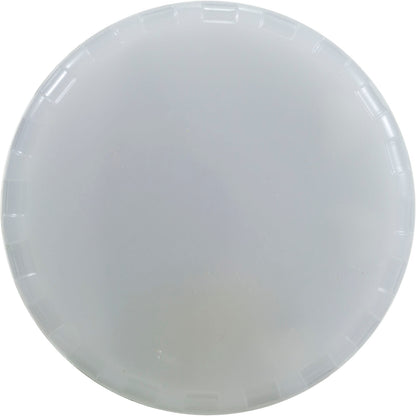 Ampoule de rechange, PureWhite 2 piscine/spa, 115 V, SpaBrite/Astrolite II