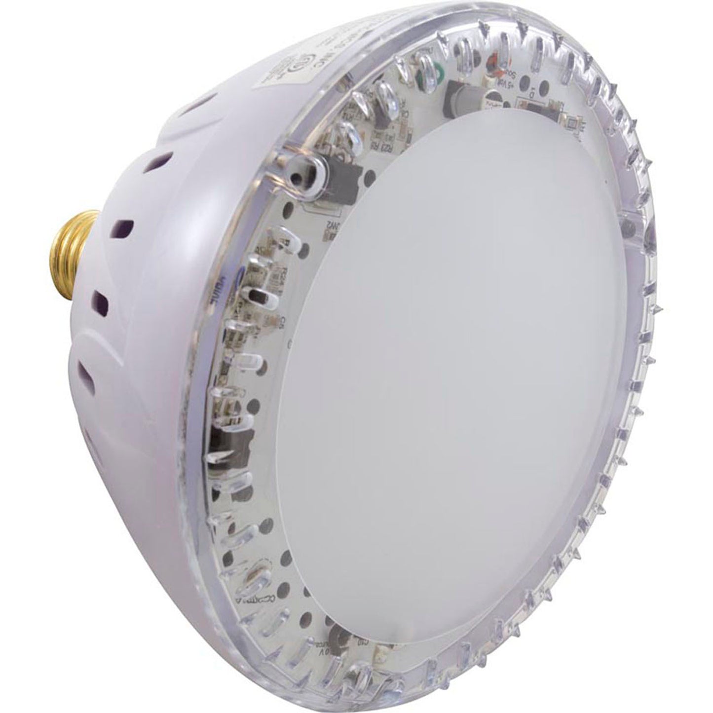 Ampoule de rechange, ColorSplash 3G Pool, 115 V, Amerlite/Astrolite I