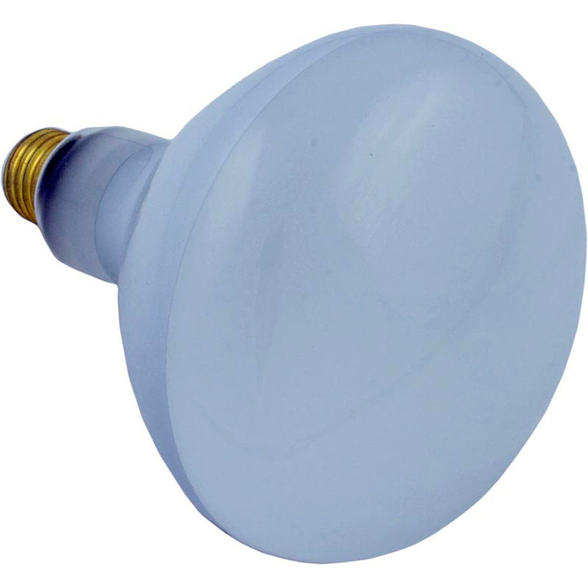 Replacement Bulb, Flood Lamp, 400w, 115v