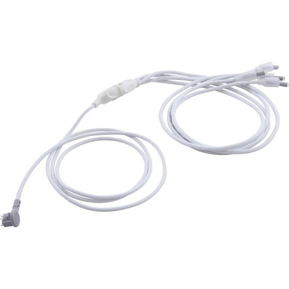 Ampoule de rechange, RD, 2 fils, Mini POL, Quad LED, 61"