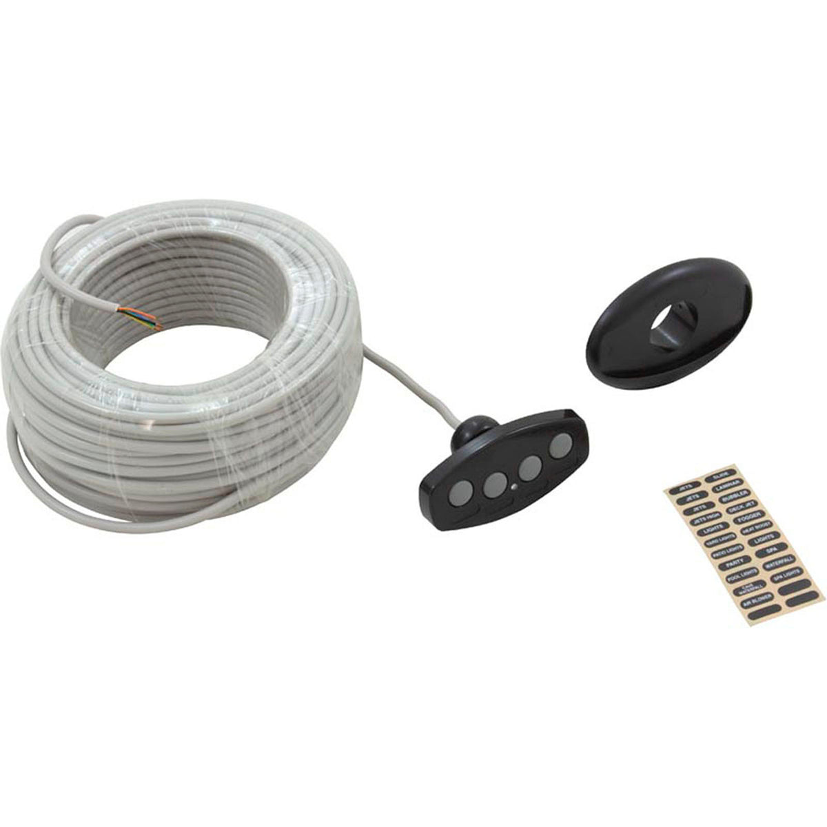Control Panel, Pentair iS4, 100ft Cable, Black