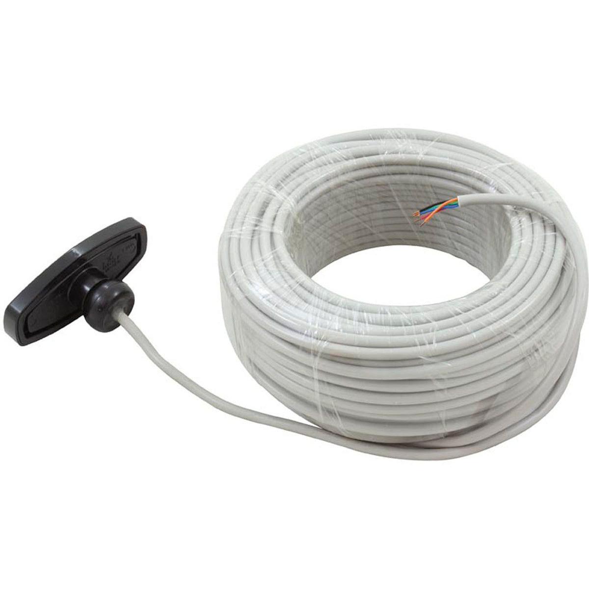 Control Panel, Pentair iS4, 100ft Cable, Black