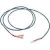 Pressure Switch Wire, Balboa, 56", 2 position