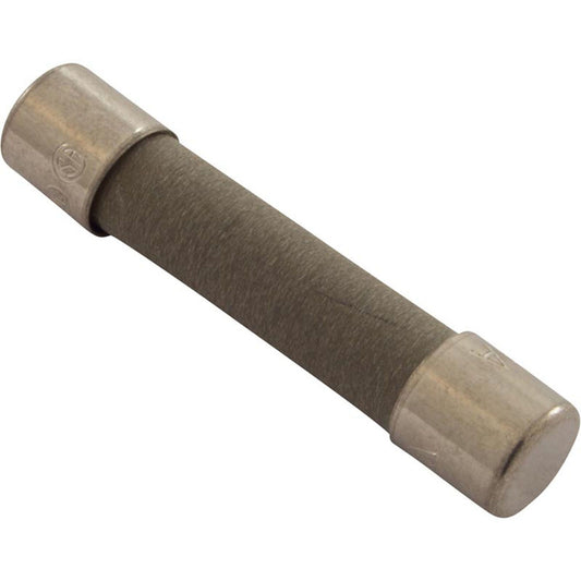 Slo Blo Fuse, 10A, 115v, MDA