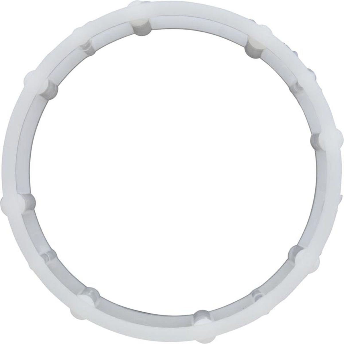 Bearing Race, Odyssey, Needle, Small