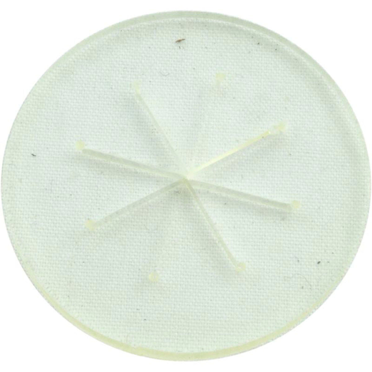 Bypass Disk, Zodiac Polaris 140