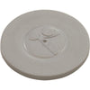 Hub Cap, Zodiac Polaris TR35P, Silver