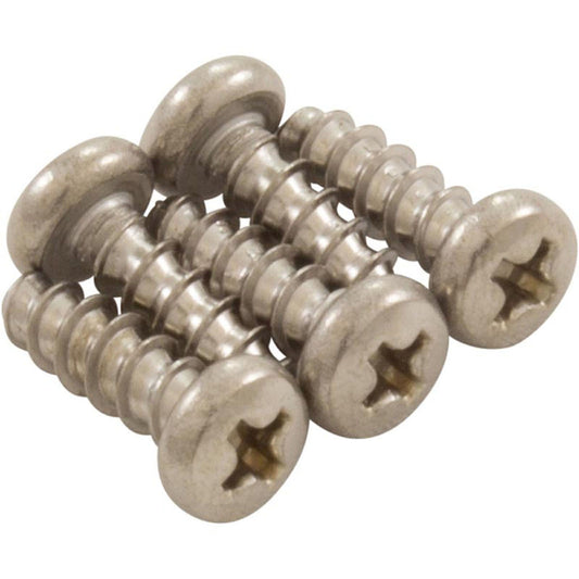 Screw Kit, Zodiac Polaris 9100, Phil, 4 x 12A4