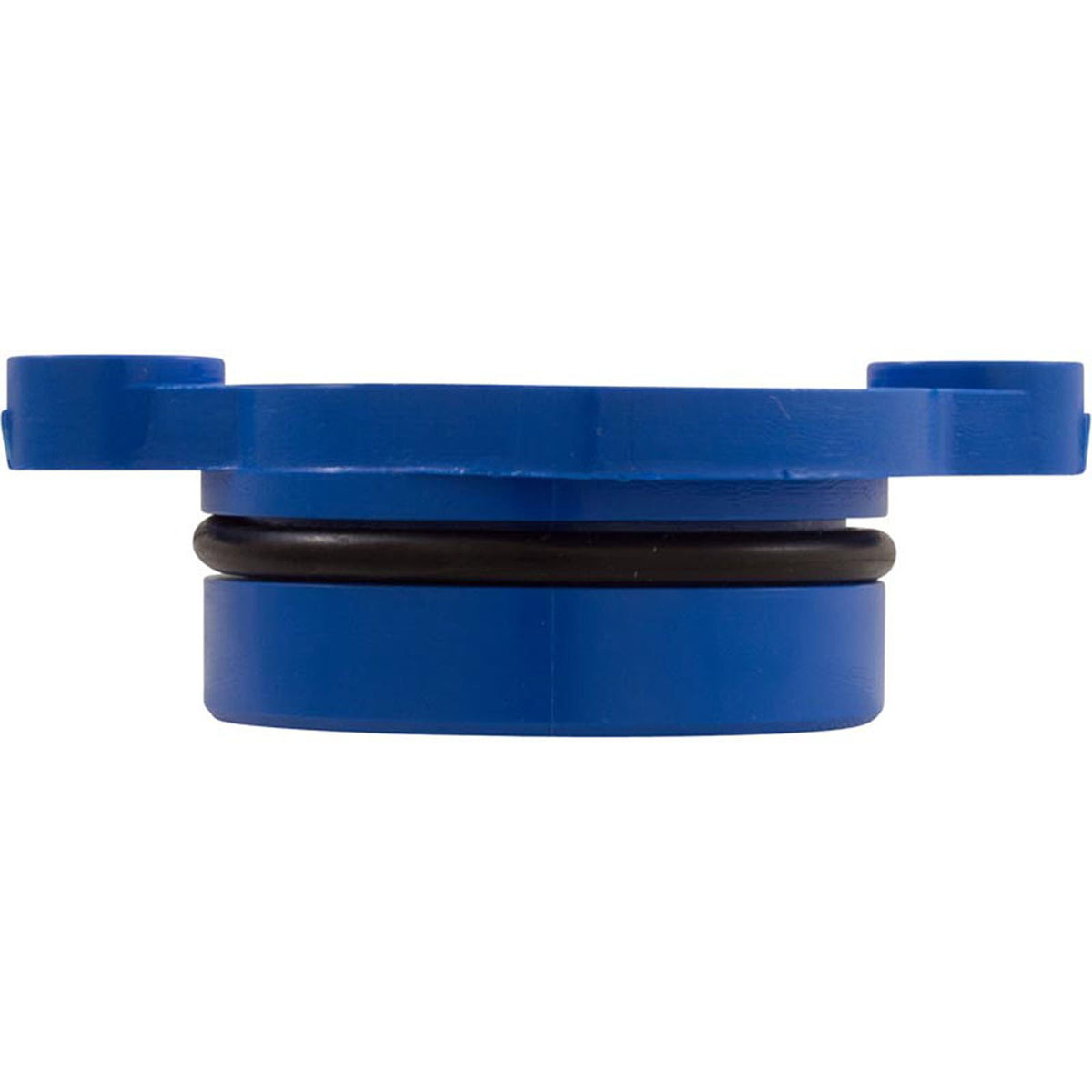 Bearing, Pentair L79BL Cleaner, Lower, with O-Ring