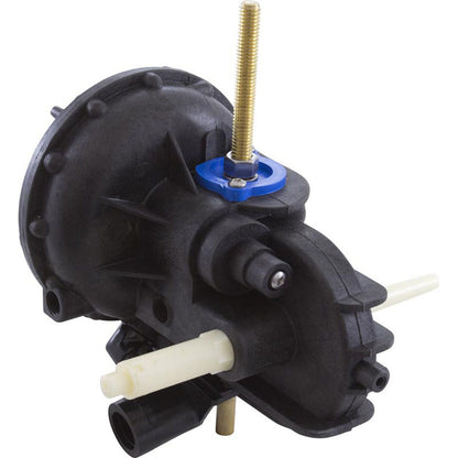 Internal Motor, Pentair Arneson II, with Gears