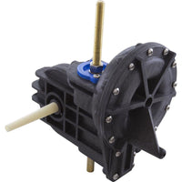 Internal Motor, Pentair Arneson II, with Gears