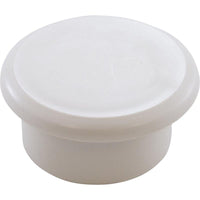 Cap Plug, Pentair Vac-Mate Skimmer