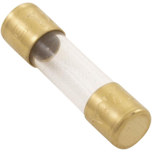 Fusible, Maytronics Dolphin, à action retardée, 2,5 A