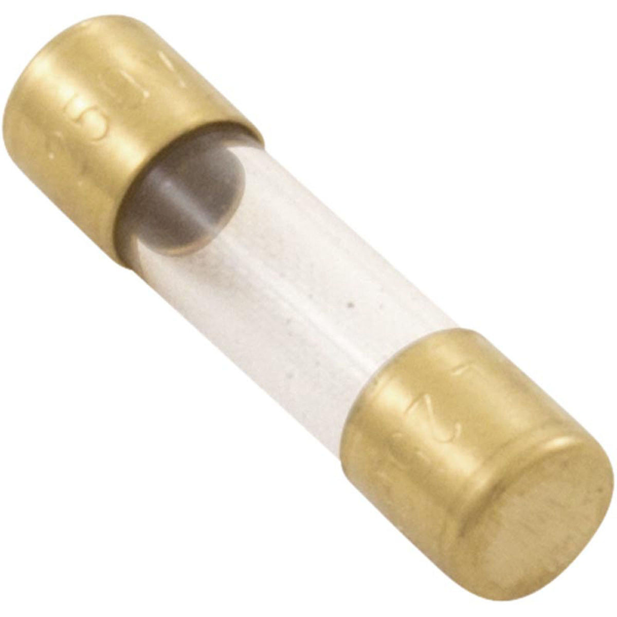 Fuse, Maytronics Dolphin, Slow Blow, 2.5A