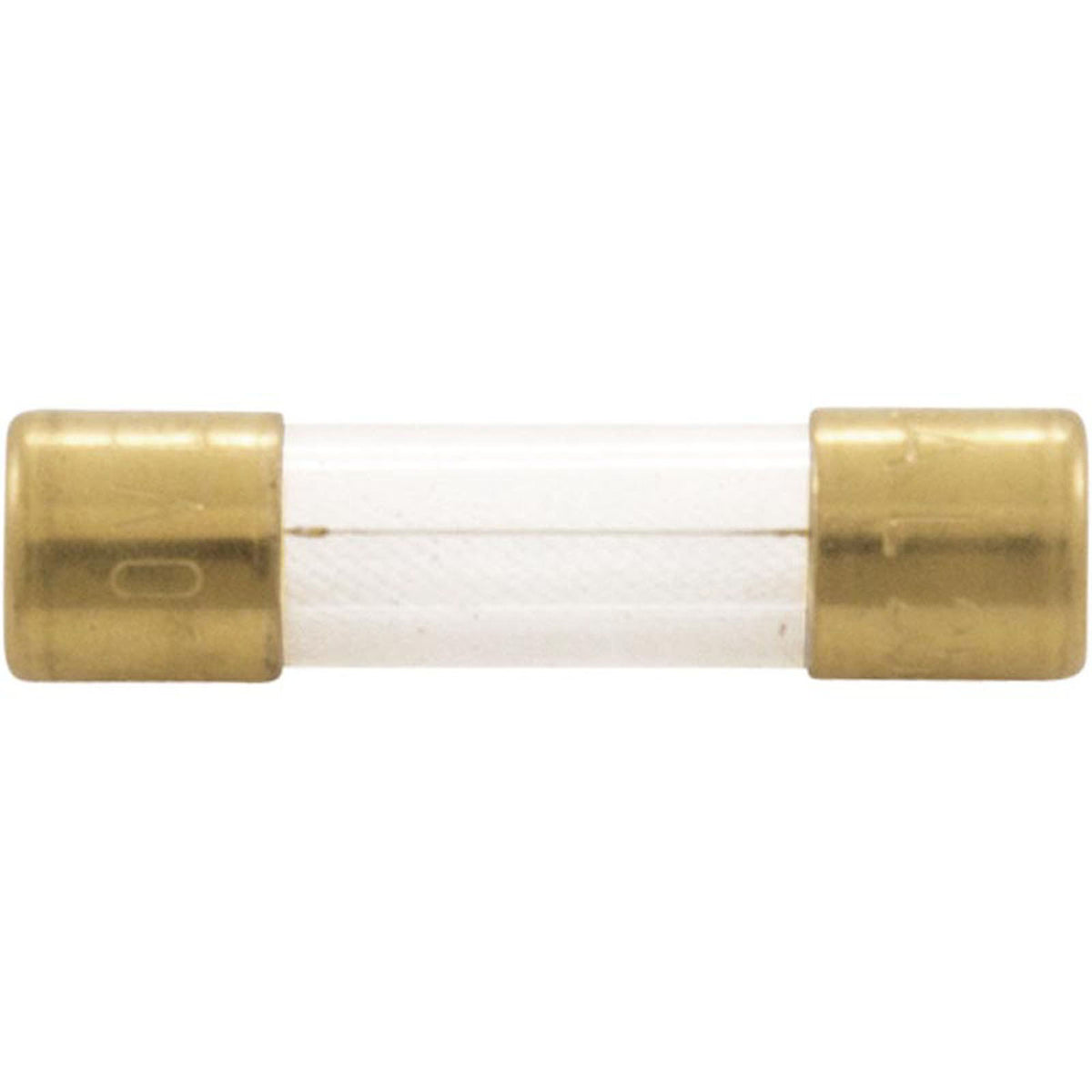 Fuse, Maytronics Dolphin, Slow Blow, 2.5A