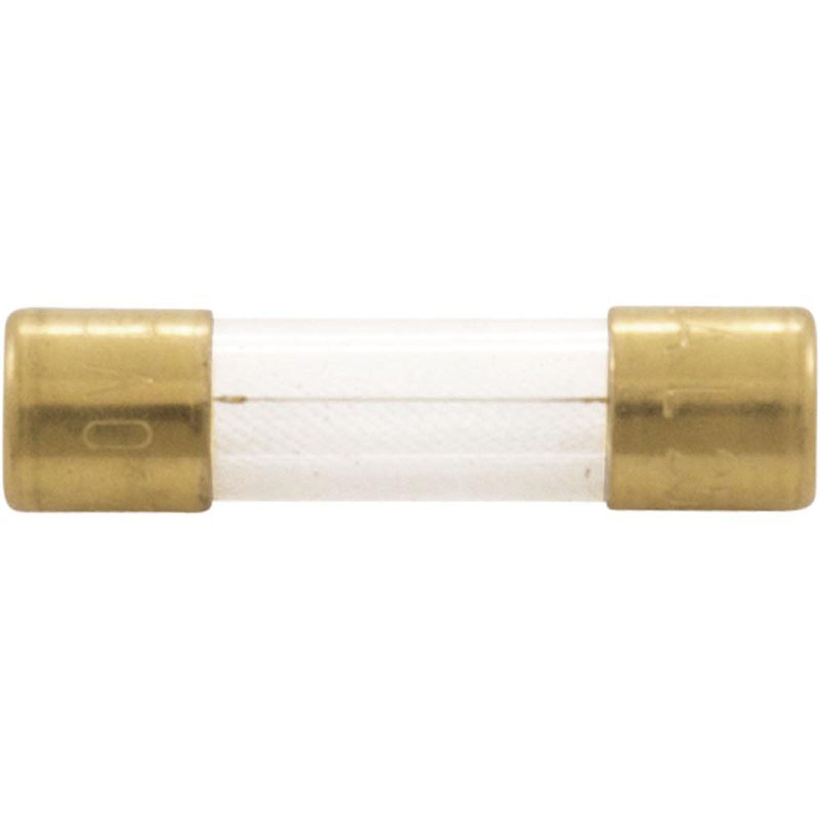 Fuse, Maytronics Dolphin, Slow Blow, 2.5A