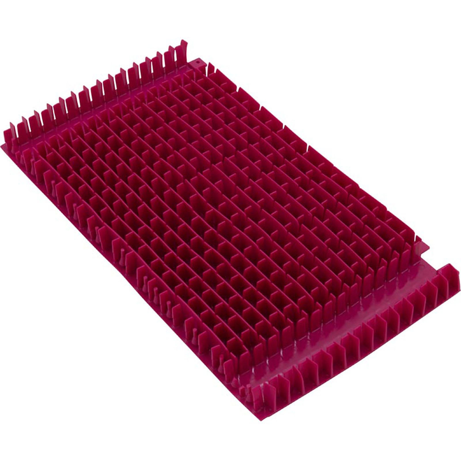 Brush, Maytronics Dolphin, Magenta