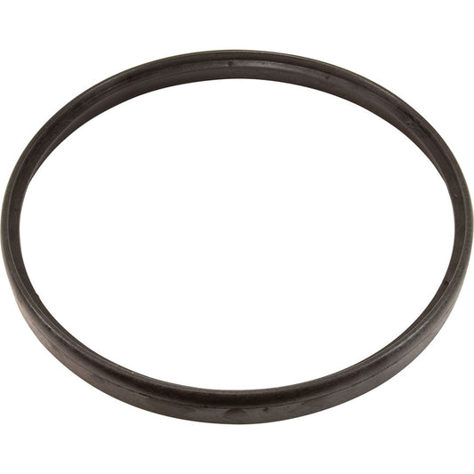 Anillo limpiador Hayward AquaBug