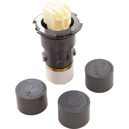 Cleaning Head, Paramount PV3, w/Caps, Gray