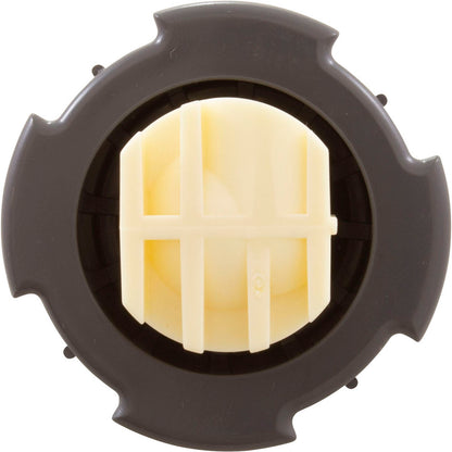 Cleaning Head, Paramount PV3, w/Caps, Gray