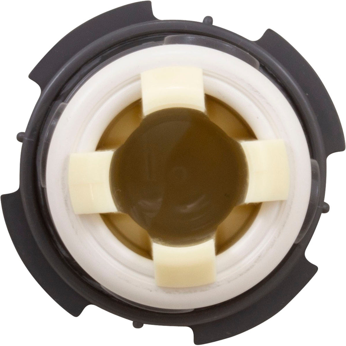 Cleaning Head, Paramount PV3, w/Caps, Gray