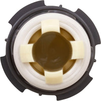 Cleaning Head, Paramount PV3, w/Caps, Gray
