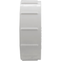 Union, Sta-Rite/Pentair, Nut, 2" Female Buttress Thread