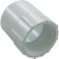 Adapter, 1-1/4" Slip x 1-1/4" Female Pipe Thread