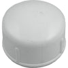Cap, Lasco, 3" Slip