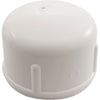 Cap, Lasco, 2-1/2" Slip