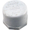 Cap, Lasco, 1-1/4" Female Pipe Thread