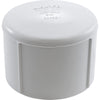 Cap, Lasco, 2-1/2" Female Pipe Thread