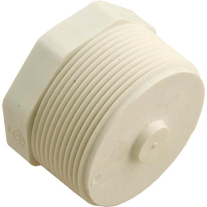 Plug, Lasco, 2" Male Pipe Thread