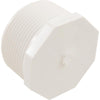 Plug, Lasco, 2-1/2" Male Pipe Thread