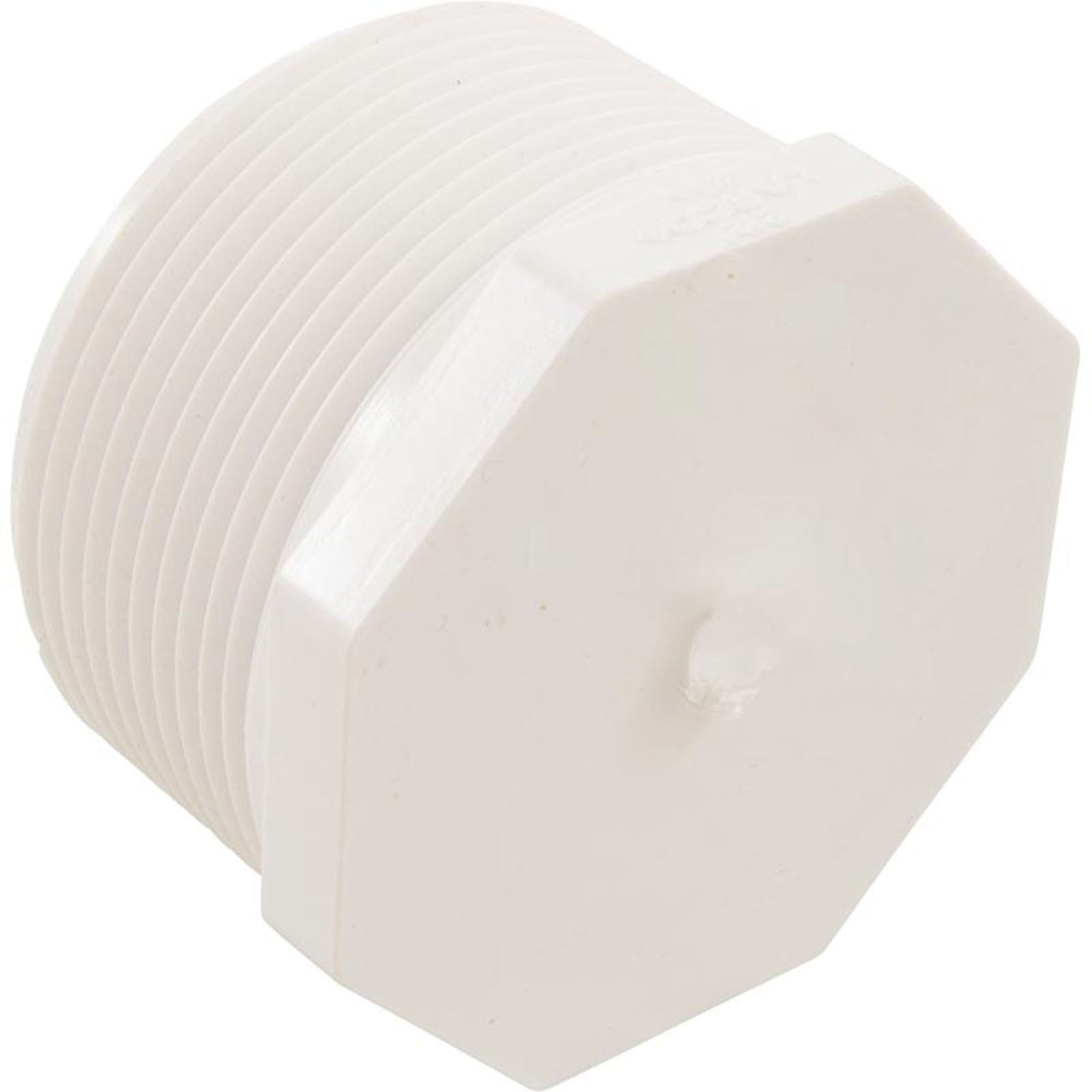 Plug, Lasco, 2-1/2" Male Pipe Thread