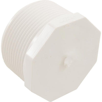 Plug, Lasco, 2-1/2" Male Pipe Thread