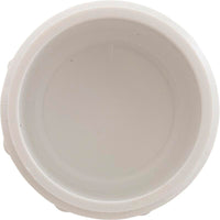 Plug, Lasco, 2-1/2" Male Pipe Thread