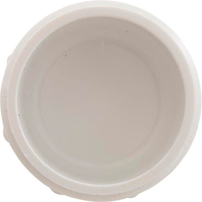 Plug, Lasco, 2-1/2" Male Pipe Thread