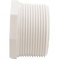 Plug, Lasco, 2-1/2" Male Pipe Thread
