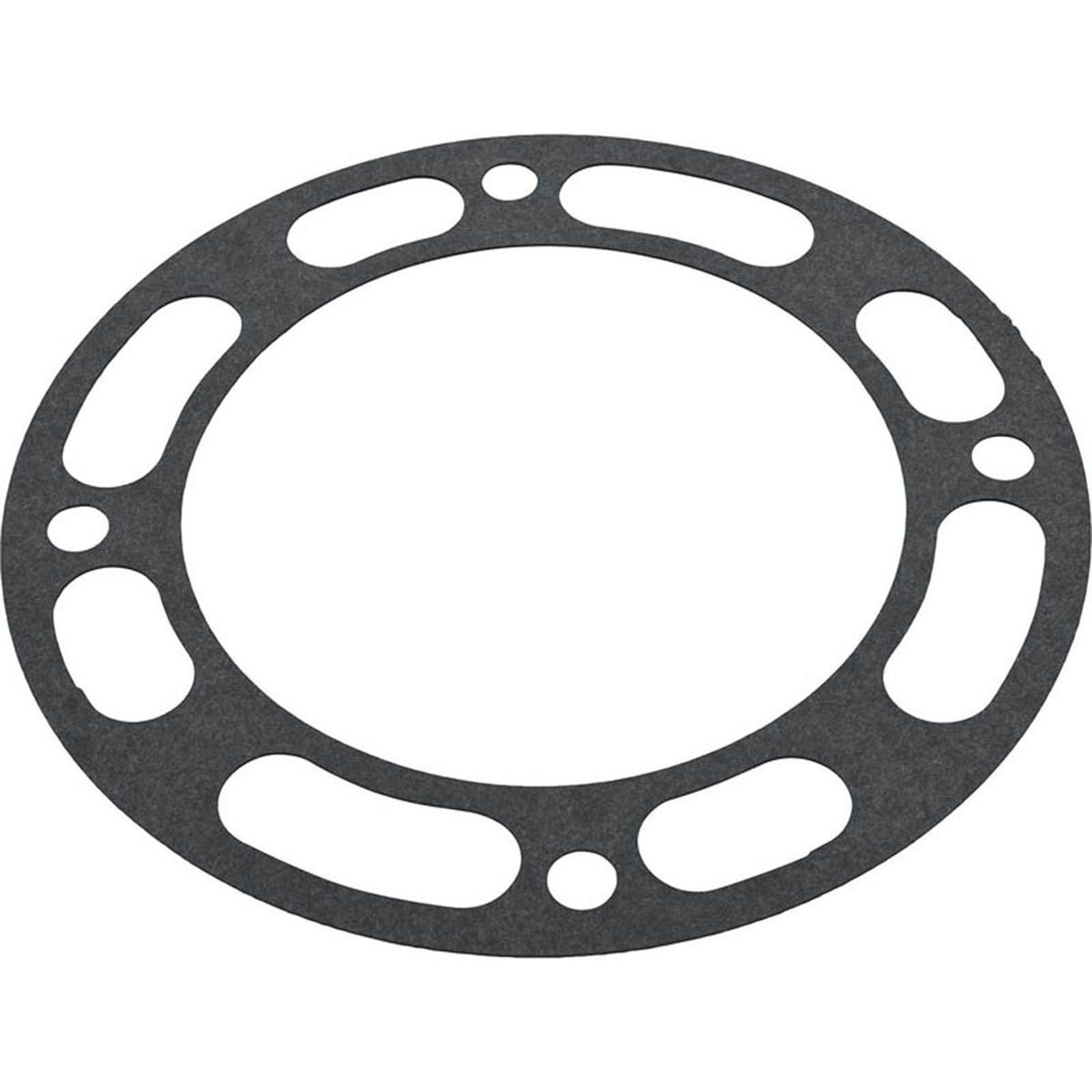 Gasket, Pentair Well & Irrigation Pump