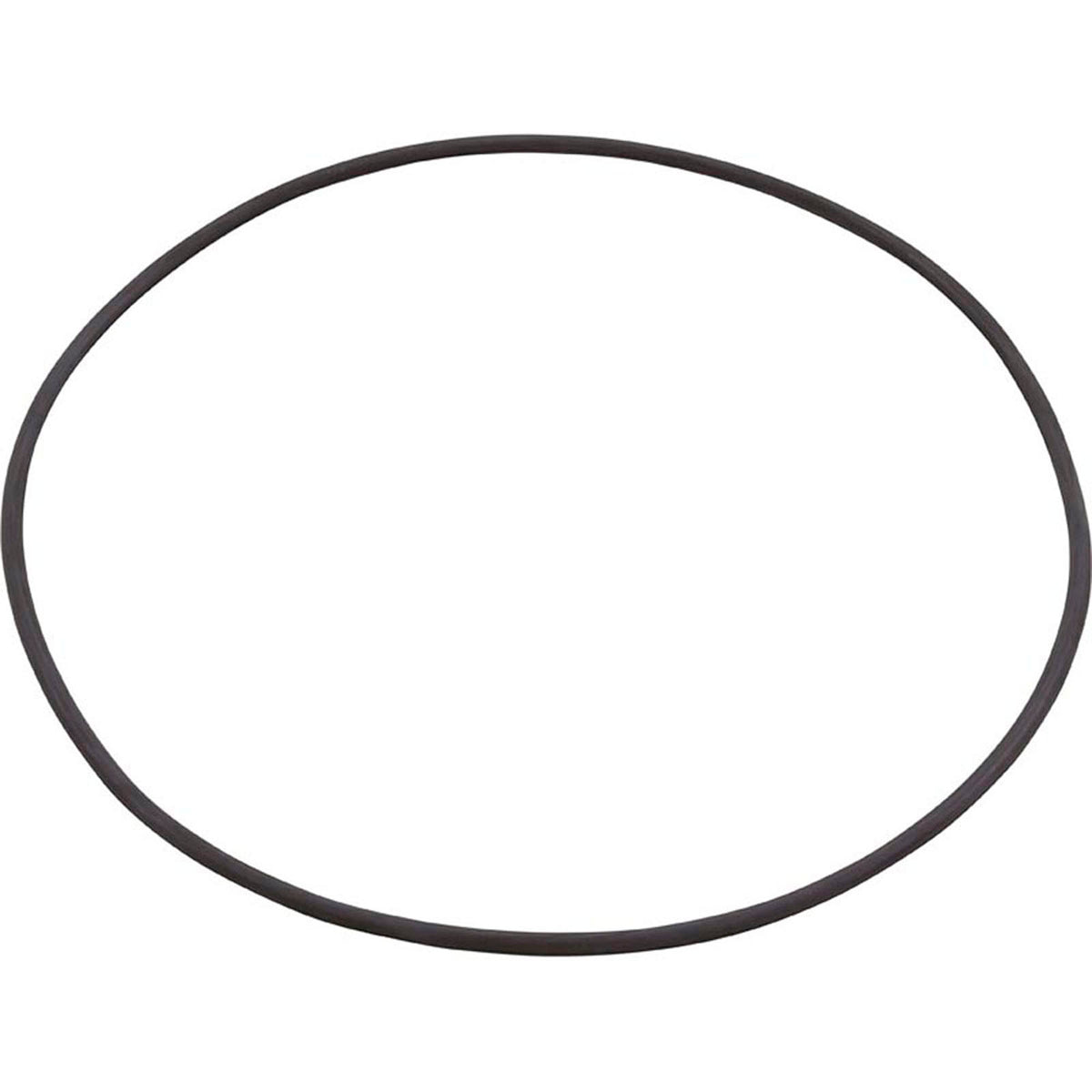 O-Ring, Buna-N, Astral, 2500 Terra & Cel Filters