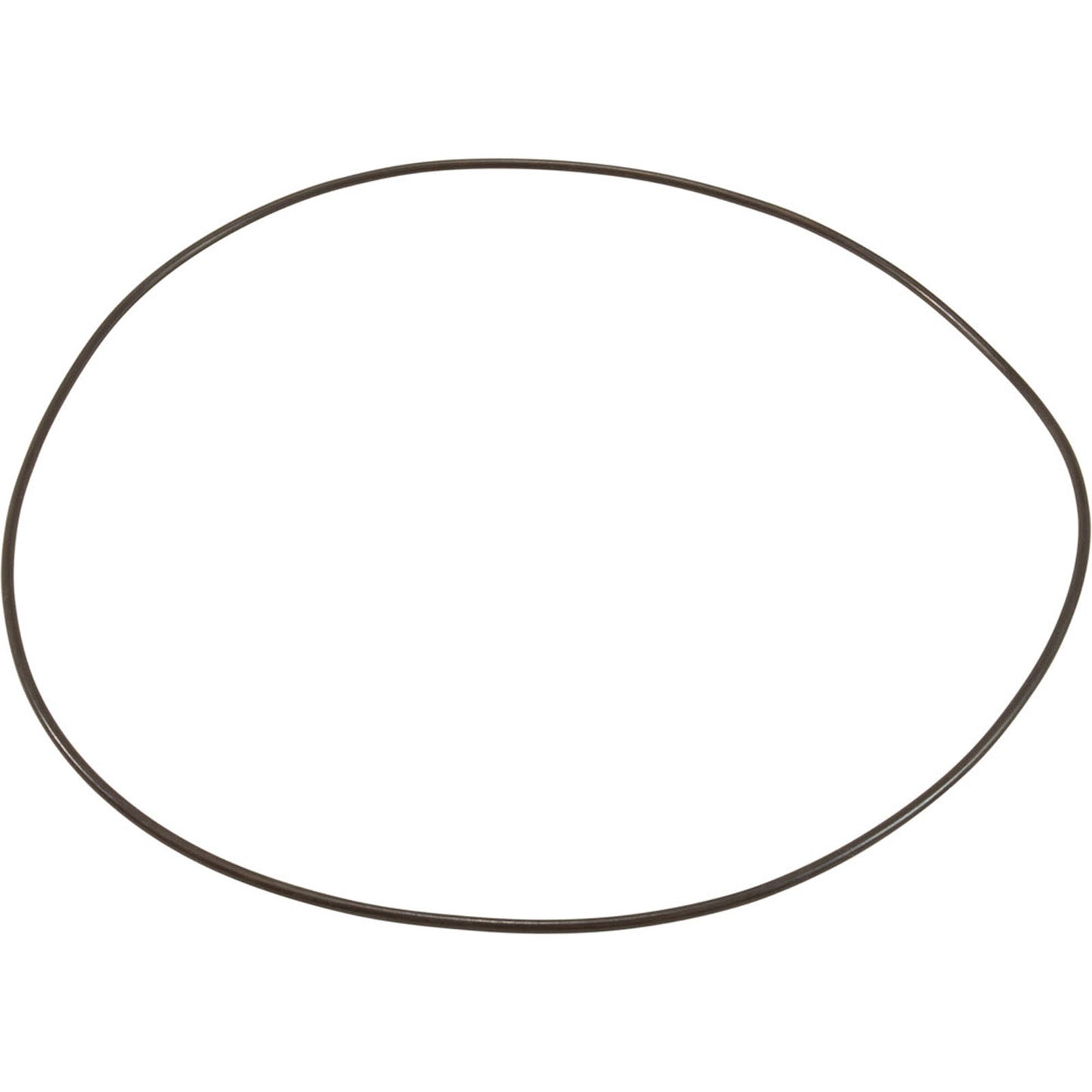 O-Ring, Buna-N, Astral Sprint 2000 US-1 Pump, Motor Clamp