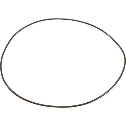 O-Ring, Buna-N, Astral Sprint 2000 US-1 Pump, Motor Clamp