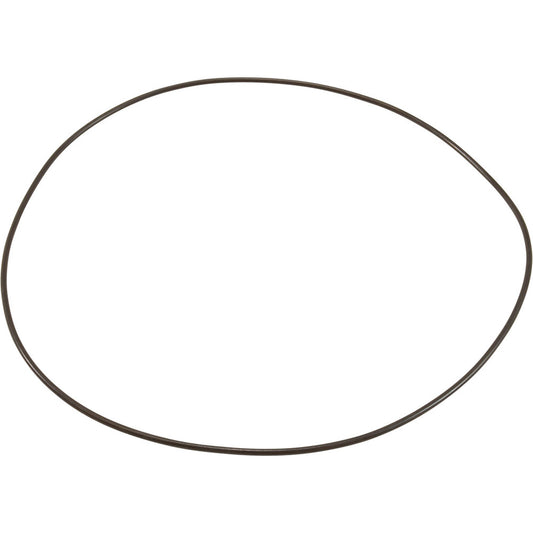 O-Ring, Buna-N, Astral Sprint 2000 US-1 Pump, Motor Clamp