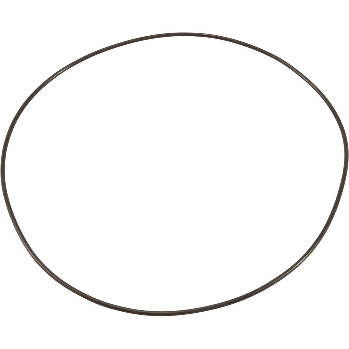 O-Ring, Buna-N, Astral Sprint 2000 US-1 Pump, Motor Clamp