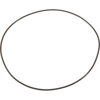 O-Ring, Buna-N, Astral Sprint 2000 US-1 Pump, Motor Clamp