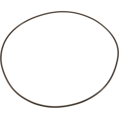 O-Ring, Buna-N, Astral Sprint 2000 US-1 Pump, Motor Clamp